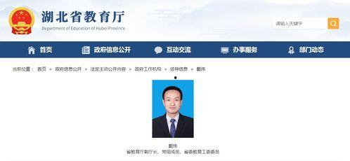 湖北教育爆料最新消息视频,视频揭示教育领域重大动态