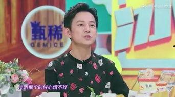 吴昕爆料何炅事件最新进展,吴昕揭露幕后真相，揭秘娱乐圈风云